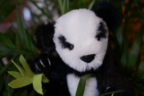 Bastelset für Teddybär "kleiner Panda", 13 cm