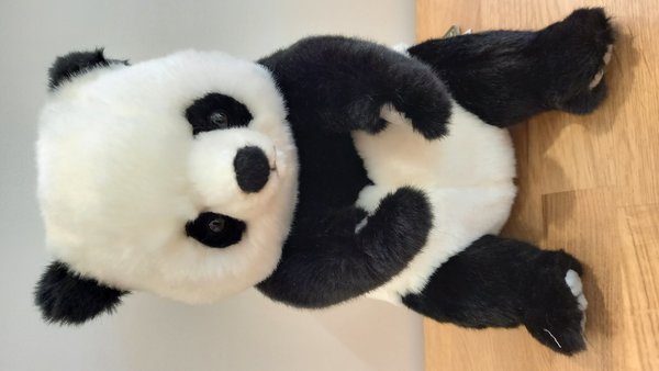 Kuscheliger Panda von HANSA, 27 cm