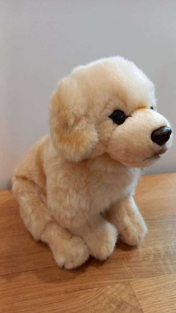 Kuscheltier Hund Golden Retriever, 30 cm, von Anima