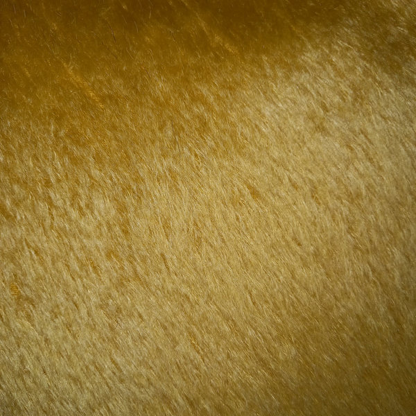 klassisches Mohair, gelbgold, blond, 21 mm Flor